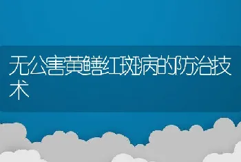 无公害黄鳝红斑病的防治技术