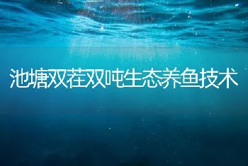 池塘双茬双吨生态养鱼技术