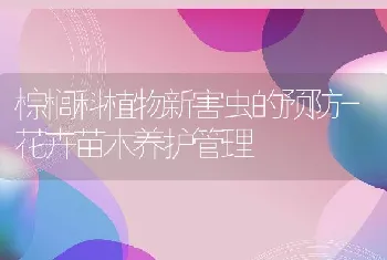 獭兔皮防腐技术