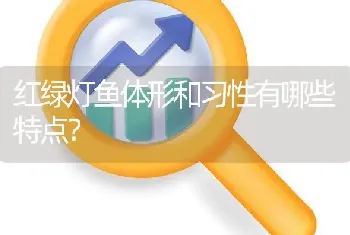 红绿灯鱼体形和习性有哪些特点？