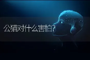 公猫对什么害怕？