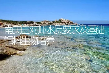 南美白对虾水质要求及基础饵料生物培养