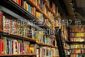 兔子可以听懂人说话吗？他的记忆有多长时间？