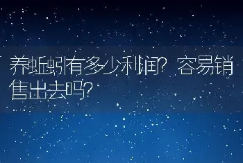 养蚯蚓有多少利润？容易销售出去吗？