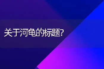 关于河龟的标题？