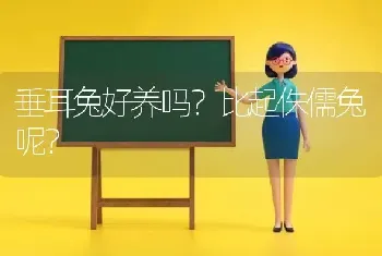 与猫敌对的生肖？