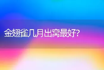 金翅雀几月出窝最好？