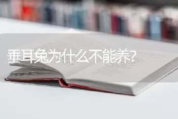 垂耳兔为什么不能养？