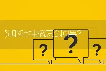 狗呕吐抽搐怎么回事？