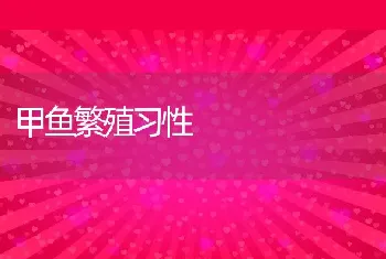 甲鱼繁殖习性