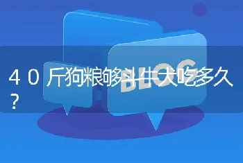 40斤狗粮够斗牛犬吃多久？