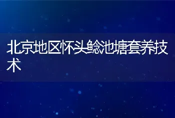 北京地区怀头鲶池塘套养技术