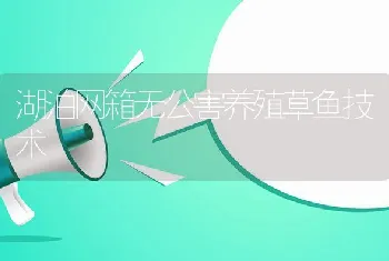 湖泊网箱无公害养殖草鱼技术