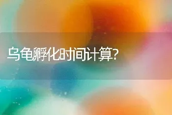 乌龟孵化时间计算？