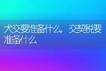 犬交要准备什么，交契税要准备什么