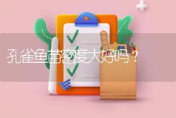 孔雀鱼苗密度大好吗？