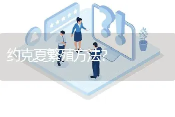 约克夏繁殖方法？