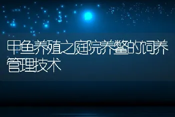 甲鱼养殖之庭院养鳖的饲养管理技术