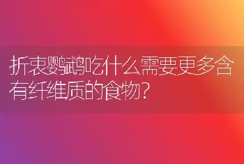 折衷鹦鹉吃什么需要更多含有纤维质的食物？