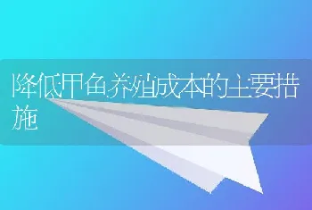 降低甲鱼养殖成本的主要措施