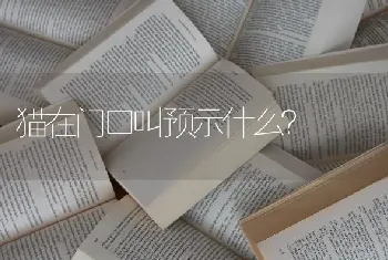 猫在门口叫预示什么？