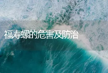 福寿螺的危害及防治