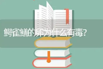 红尾红鳍的淡水鱼名字？