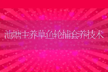 池塘主养草鱼轮捕套养技术