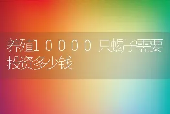 养殖10000只蝎子需要投资多少钱