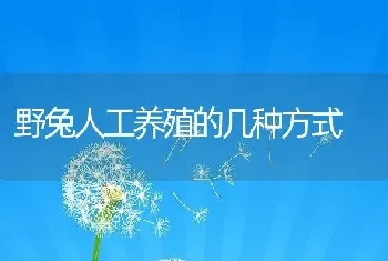 野兔人工养殖的几种方式