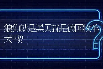 狼狗就是黑贝就是德国牧羊犬吗？