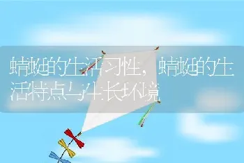 蜻蜓的生活习性，蜻蜓的生活特点与生长环境