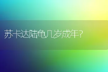 苏卡达陆龟几岁成年？