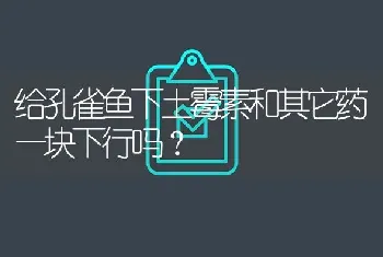 给孔雀鱼下土霉素和其它药一块下行吗？