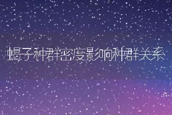 蝎子种群密度影响种群关系