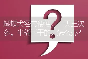 蝴蝶犬经常便便，一天三次多。半稀半干的。怎么办？