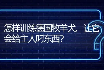 怎样训练德国牧羊犬.让它会给主人叼东西？