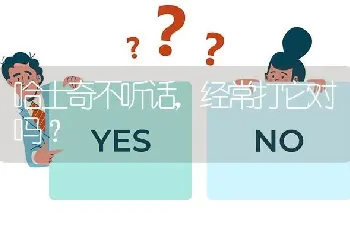 哈士奇不听话，经常打它对吗？