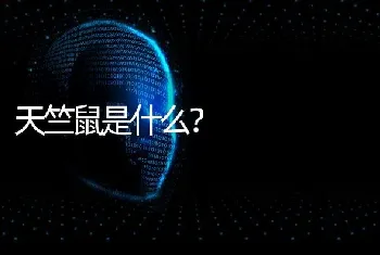 几个月的小猫咪为什么不与我亲近？