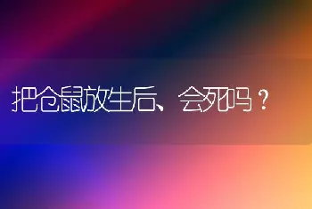 把仓鼠放生后、会死吗？