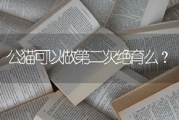 公猫可以做第二次绝育么？