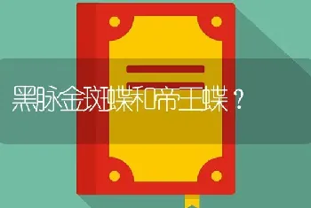 黑脉金斑蝶和帝王蝶？