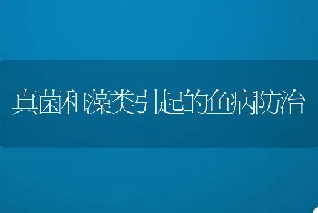 真菌和藻类引起的鱼病防治