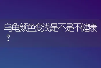 乌龟颜色变浅是不是不健康？