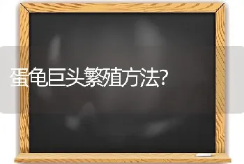 蛋龟巨头繁殖方法？