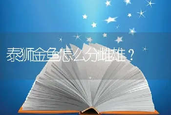 狮子鱼鱼籽是海鲜吗？