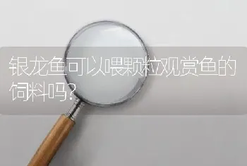 银龙鱼可以喂颗粒观赏鱼的饲料吗？