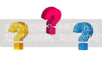 瑞雪纳是狗的一种吗?我只知道雪纳瑞啊，有瑞雪纳吗？