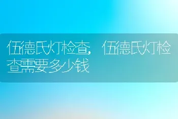 伍德氏灯检查，伍德氏灯检查需要多少钱