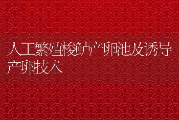 人工繁殖梭鲈产卵池及诱导产卵技术